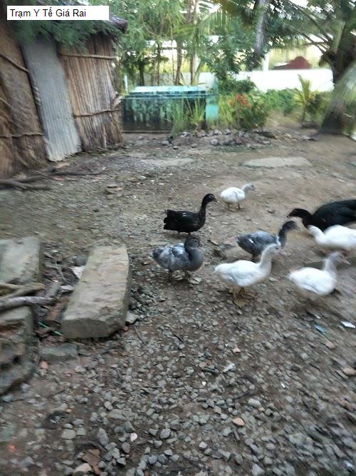 Hình ảnh Trạm Y Tế Giá Rai